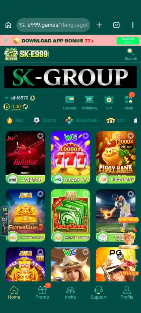 SK-E999 Game home image