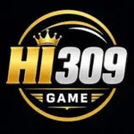 HI309 Game